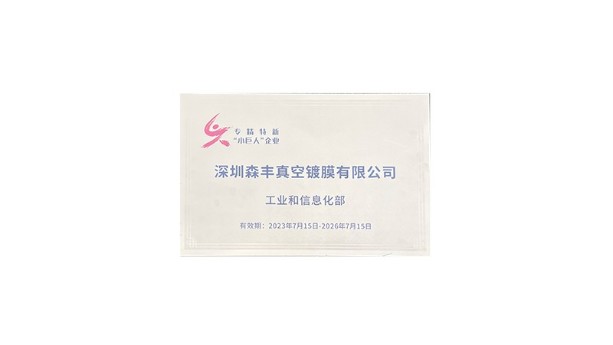 深圳午夜福利小视频真空午夜成人在线观看